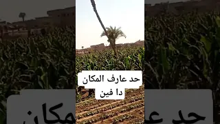  احتفال فرحة ضرب نار الصعيد دندنها