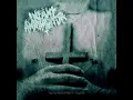 Torn from the Womb - Infant Annihilator