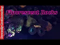 Fluorescent Rocks Understanding UV Light and Minerals