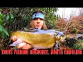 Trout Fishing Cherokee North Carolina