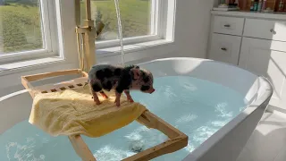 It’s bath time! 
