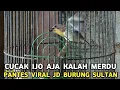 Lagu LUAR BISA BURUNG INI ! DULU DISIA - SIAKAN PAS VIRAL JADI REBUTAN MEWAH CUCAK IJO AJA KALAH MERDU