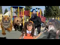 Download Lagu Soso's Strongest Land Animal Toys Become Real | Animal Stories for Kids