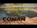 Conan Exiles - How to grow plants and make compost