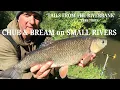 Download Lagu CHUB and BREAM on SMALL RIVERS Part 3 Tails from the Riverbank #chub #riverfishing #fishinglife