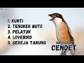 Download Lagu MASTERAN CENDET MATERI  KUNTI,  TENGKEK BUTO, PELATUK,  lOVEBIRD, GEREJA TARUNG