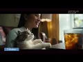 Download Lagu Iklan Teh Celup Sosro Hidupkan Hebatmu