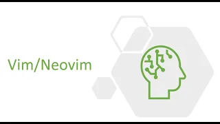 Neovim Programming Notes and Flashcards