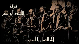 إيه العمل يا أحمد   الإخوة أبو شعر دندنها