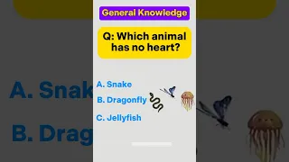 General Knowledge Quiz 