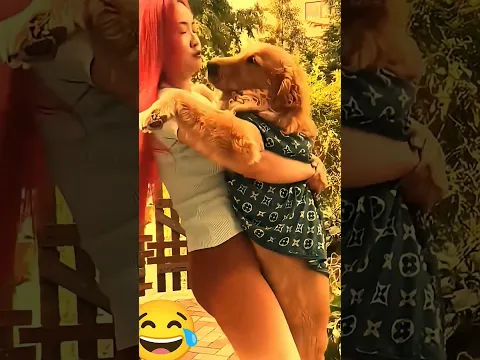 #funny #love #cat
