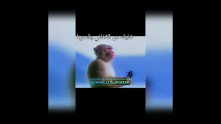 اونقر اونقر لابوبو لابوبو اكسبلور تحشيش دويتو هتضحك لايك Duet لايك لابوبو 