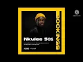 Nkulee 501_ft_T&T MusiQ_-_Breed_(main mix)