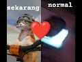 Download Lagu tren kucing pukul kita wkwkwkwk wkwkwkwkkwwkwkwkwwkwkkwwkkwkw