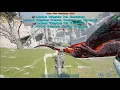 SOLO ALPHA Dragon Valguero
