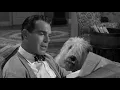 Download Lagu The Shaggy Dog (1959)