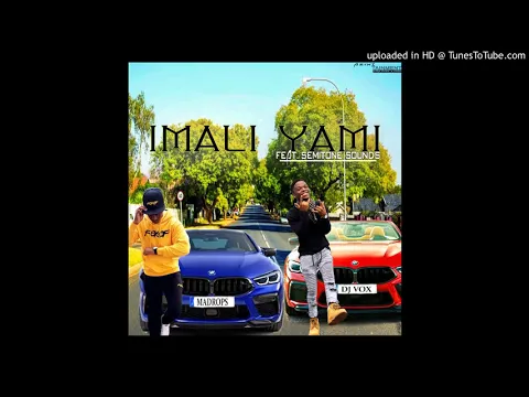 Download MP3 DJ Vox & Madrops - Imali Yami (feat. Semitone Sounds)