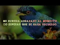 Camilo - El Árbol (Lyrics/Letra)