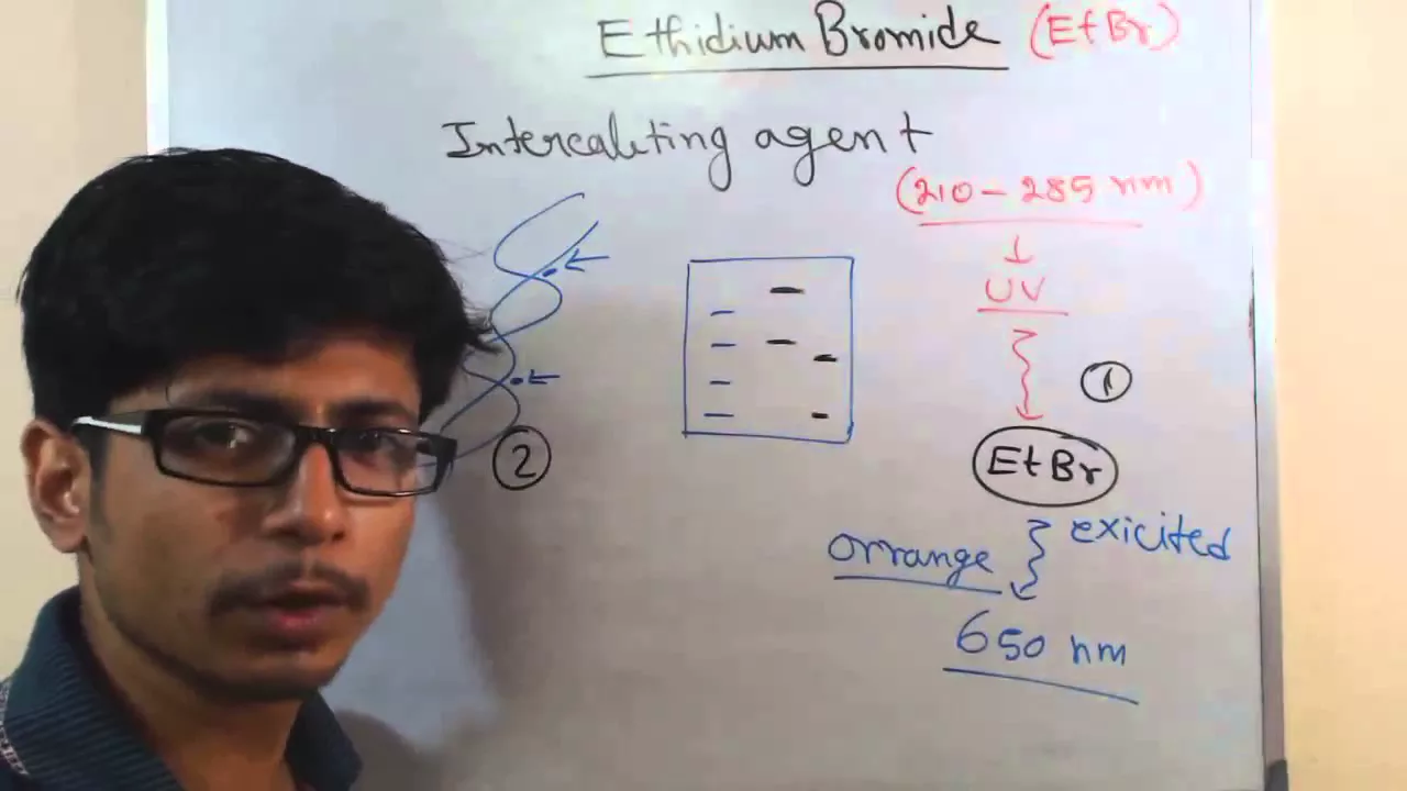 Ethidium Bromide
