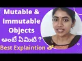 Mutable Immutable Objects easyjavatelugu1729