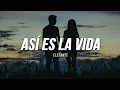 Elefante - Asi es la vida | Letra