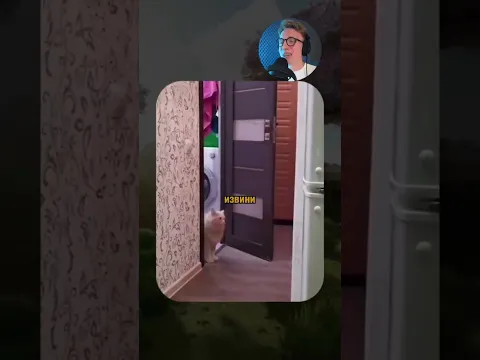 ВИРУСНЫЕ ВИДЕО / Кот увидел себя в зеркале 😹