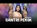SANTRI PEKOK (GENDUK DENOK SANTRI LULUSAN PONDOK) - UCI FARANTIKA - JANDUT EVERYWHERE