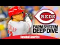 2026 Reds Prospects Deep Dive