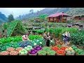 OFF-GRID Farming Was the Best Choice — Massive Harvest \u0026 SOLD OUT at the Market!