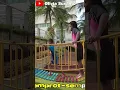 Download Lagu diobok obok airnya diobok obok #short #shortvideo #shorts #laguanak #berenang #oliviasusanto #fyp