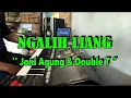 NGALIH LIANG - JONI AGUNG \u0026 DOUBLE T - KARAOKE