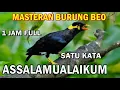 Download Lagu Masteran Burung Beo Assalamualaikum Satu Kata Full Satu Jam