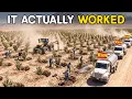 Scientists Called Spain s Dead Farm Irreversible One Family s 5-Hectare Fix Reached 80 Countries