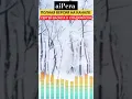 Download Lagu Сергей Васюта Сладкий Сон - на белом покрывале января |aicover |ai video | aiPera prod