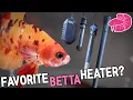 Is Your Betta Warm Enough The Best Aquarium Heater for Bettas My Experience and my FAVORITE