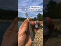 WORLDS BEST SMOKE SPOTS