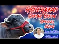 Download Lagu Hyderabad Sadar Yadav Song | Clement Sadar Songs | Writer And  Composer:- CLEMENT