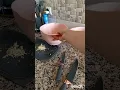 Download Lagu كل فرعون عليه موسى 😳😳😳😳🤣