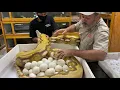 How Many Eggs