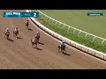 Chasing Kat wins race 2 at Del Mar 26