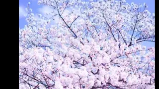 انشودة سبحان ربي بكرة واصيلا 