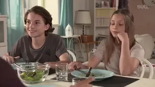                            دندنها