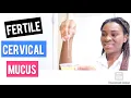 BEST CERVICAL MUCUS TO GET PREGNANT FAST How To Check Your Cervical Mucus For OVULATION TTC