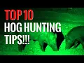 Top 10 Hog Hunting Tips Guaranteed to Bring in Hogs