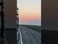 Sunrise - Ocean City New Jersey
