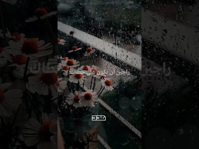 ⁣صباح الخير يا صاحب الزمان..✨#يوم_الجمعة #صباح_الخير #الإمام_المهدي #٢٠٢٦