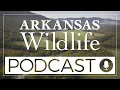 Arkansas Wildlife Podcast Ep 95 Congressman Bruce Westerman s Insights on Wildlife and Forests