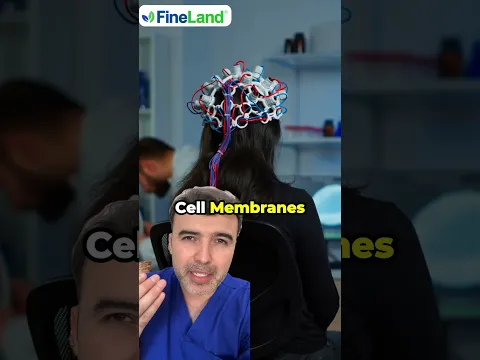 🧠 Say Goodbye to Brain Fog with Neuromatrix!