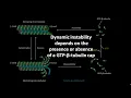 Dynamic instability of microtubules