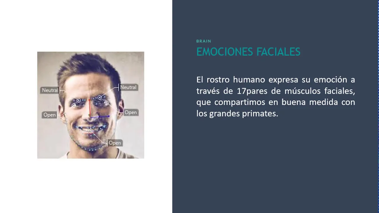 Neurobiología de la Emociones. By Henry Castillo. PhD. gerencia@neuromind.net